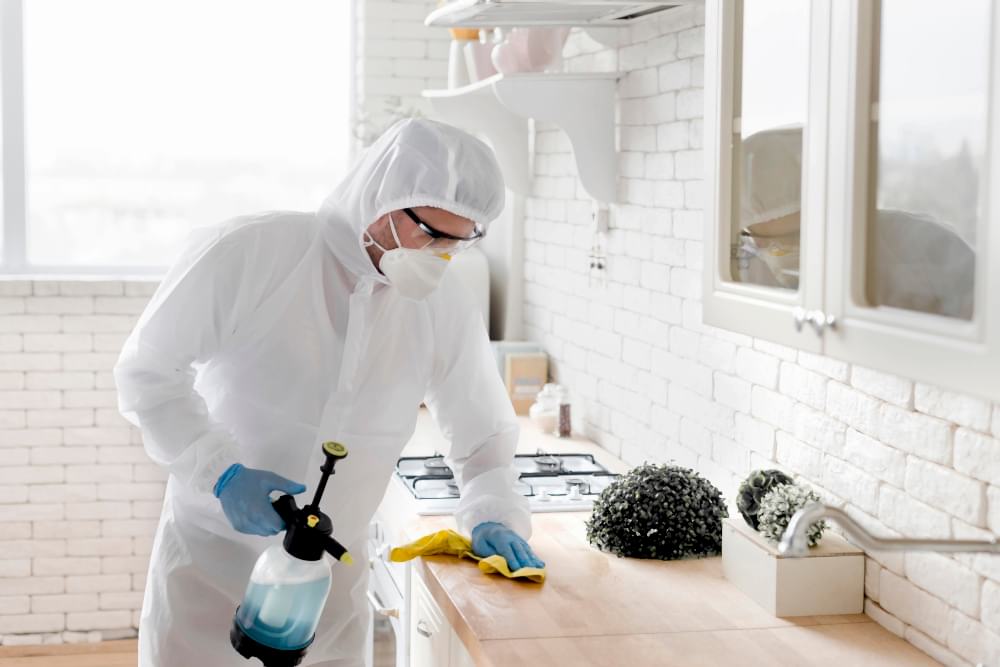 pest control brisbane
